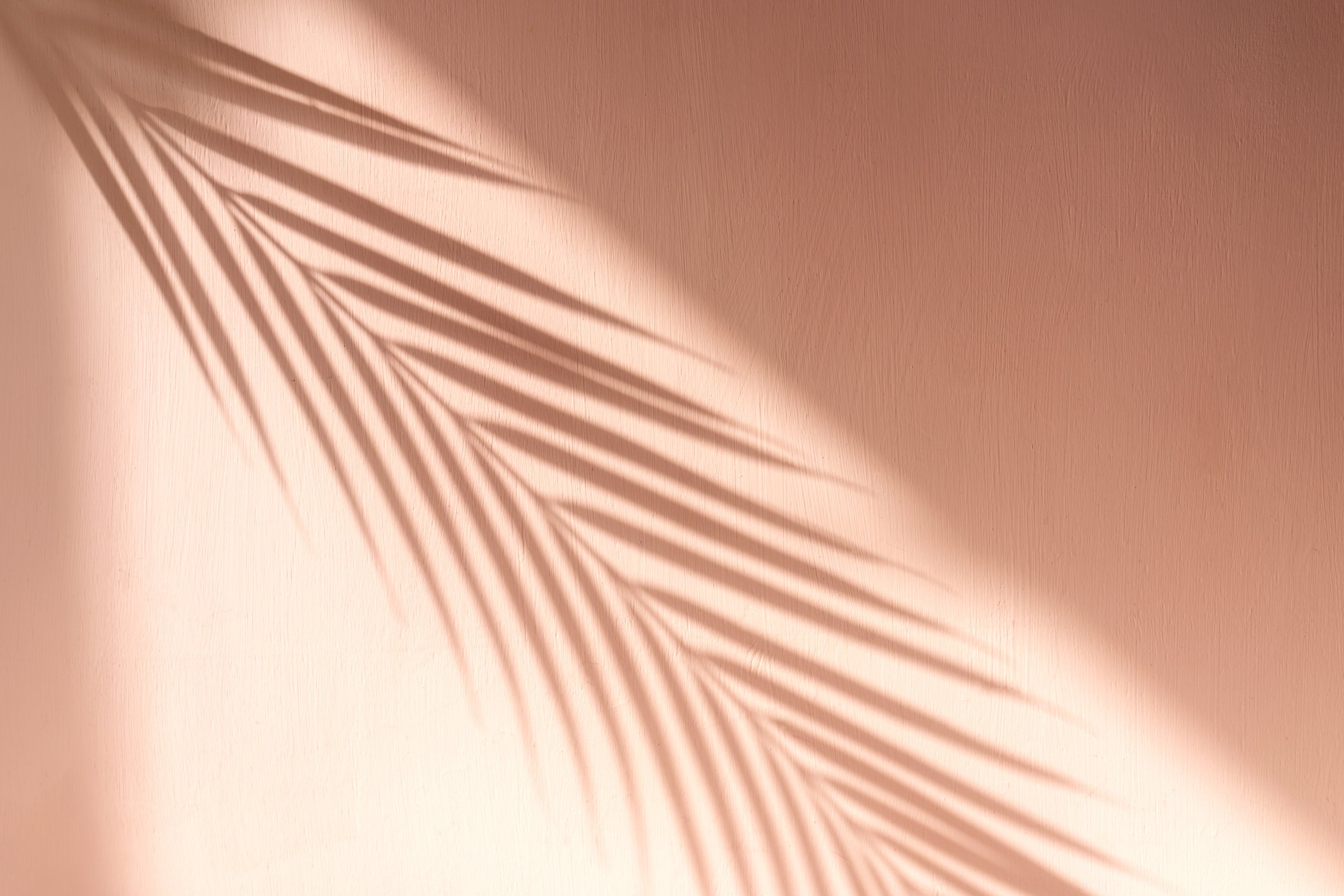 Palm Leaf Shadow on Pink Background.